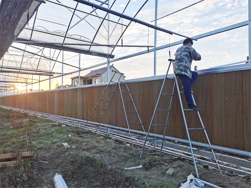 湖南花卉種植場(chǎng)環(huán)境空間通風(fēng)降溫案例