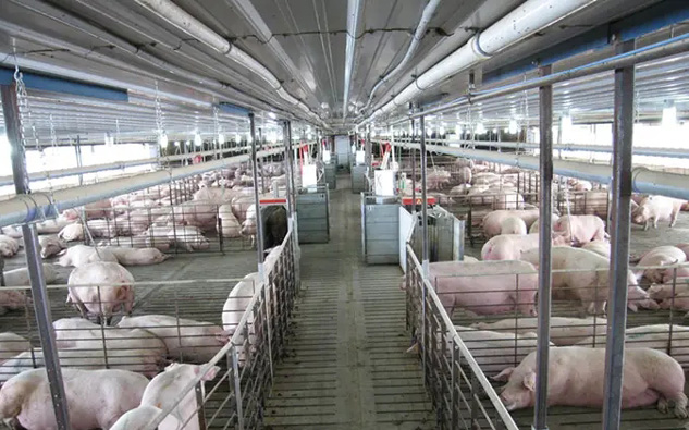 美碩風(fēng)_解決方案_Farms